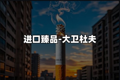 进口臻品